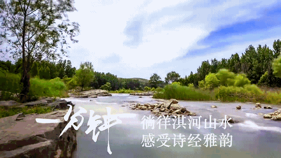 560_315gif 动态图 动图