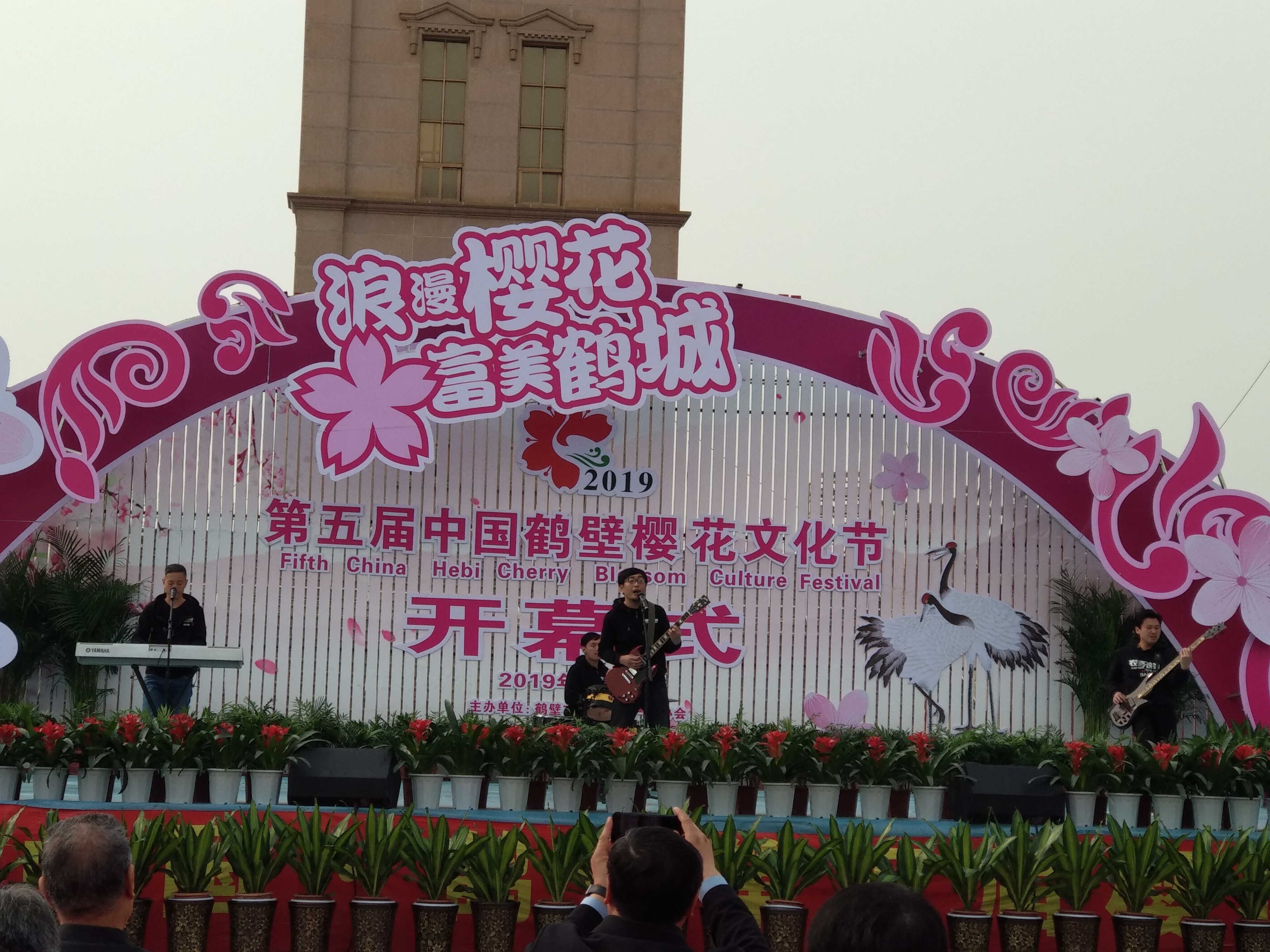 第五届中国鹤壁樱花文化节开幕!鹤城邀你来!