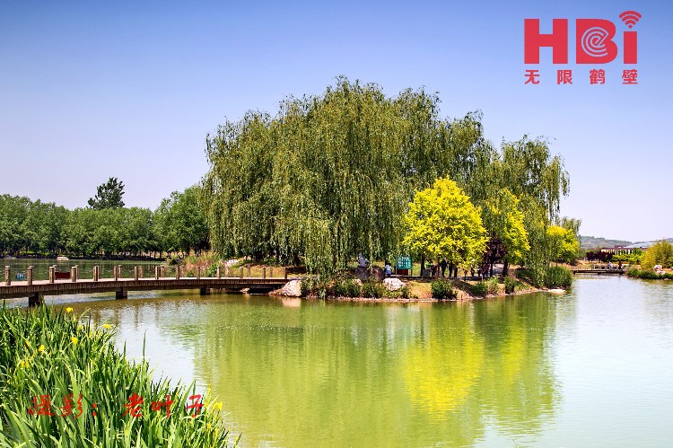 富美鹤城绿荫成片芳草迷醉的淇河湿地公园