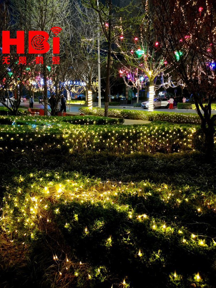 最美樱花大道越夜越醉人