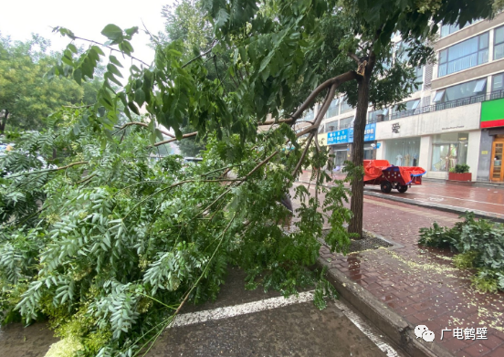 鹤壁市民近期外出一定记得带把伞