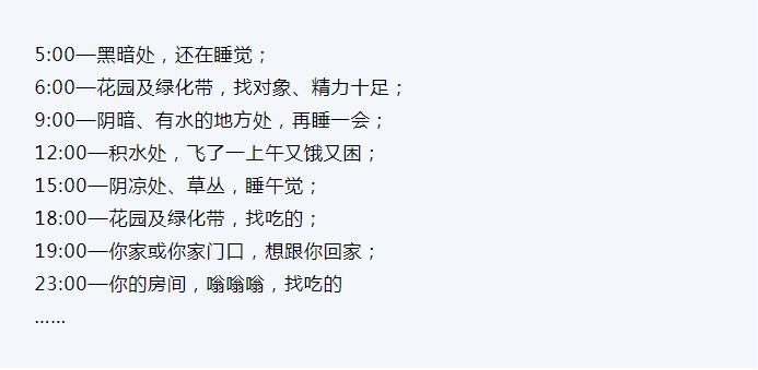 大家都叫我灭霸阿姨发布蚊虫作息表火了